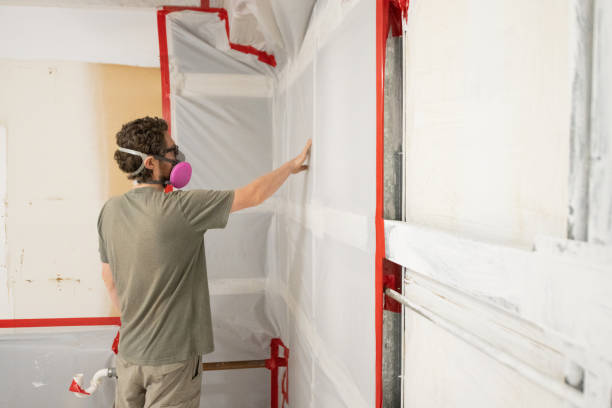 Best Environmental Consulting for Mold Prevention  in Alliance, NE