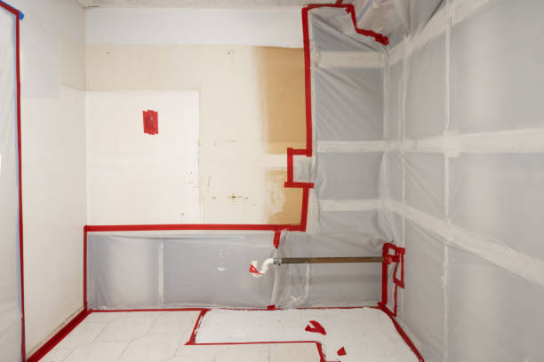 Best Mold Removal for HVAC Installations  in Alliance, NE