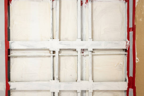 Professional Mold Removal in Alliance, NE