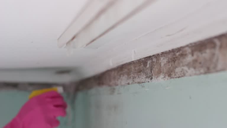 Best Indoor Air Quality Assessment  in Alliance, NE